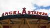 angelsfanfest20117_small.jpg