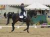 festivalofthehorseatlaecapril32011intermediarefreestyle12_small.jpg