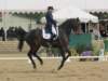 festivalofthehorseatlaecapril32011intermediarefreestyle13_small.jpg