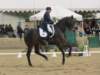 festivalofthehorseatlaecapril32011intermediarefreestyle14_small.jpg