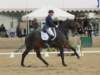 festivalofthehorseatlaecapril32011intermediarefreestyle15_small.jpg