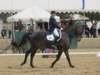 festivalofthehorseatlaecapril32011intermediarefreestyle17_small.jpg