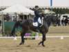 festivalofthehorseatlaecapril32011intermediarefreestyle18_small.jpg