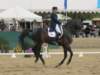 festivalofthehorseatlaecapril32011intermediarefreestyle19_small.jpg