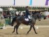 festivalofthehorseatlaecapril32011intermediarefreestyle22_small.jpg