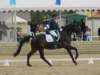 festivalofthehorseatlaecapril32011intermediarefreestyle23_small.jpg