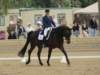 festivalofthehorseatlaecapril32011intermediarefreestyle24_small.jpg