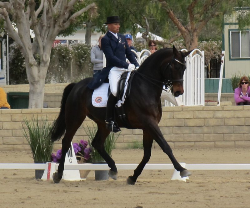 festivalofthehorseatlaecapril32011intermediarefreestyle27.jpg