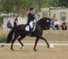 festivalofthehorseatlaecapril32011intermediarefreestyle4_small.jpg
