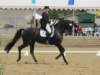 festivalofthehorseatlaecapril32011intermediarefreestyle5_small.jpg