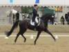 festivalofthehorseatlaecapril32011intermediarefreestyle6_small.jpg