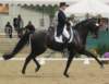 festivalofthehorseatlaecapril32011intermediarefreestyle9_small.jpg