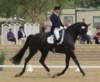 ffestivalofthehorseatlaecapril32011intermediarefreestyle_small.jpg